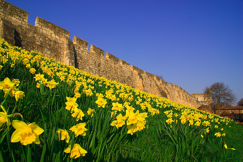 The York Bar Walls